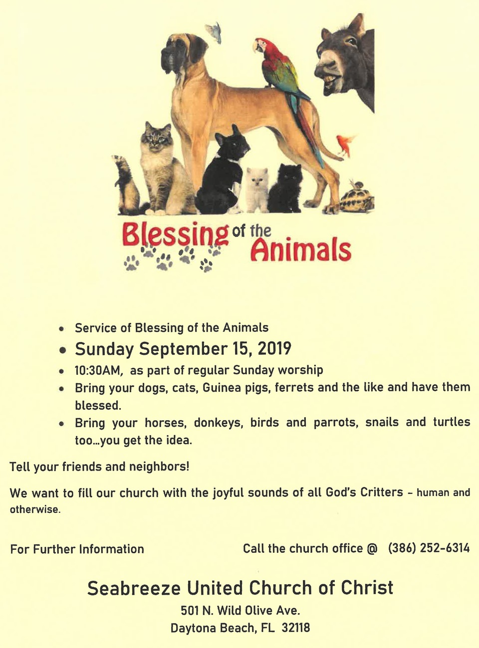 Looking to get your pets blessed?