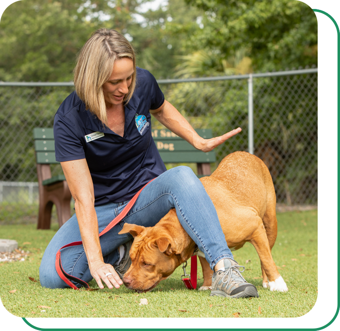 Woman kneeling on the grass and playing with a brown dog at the dog park