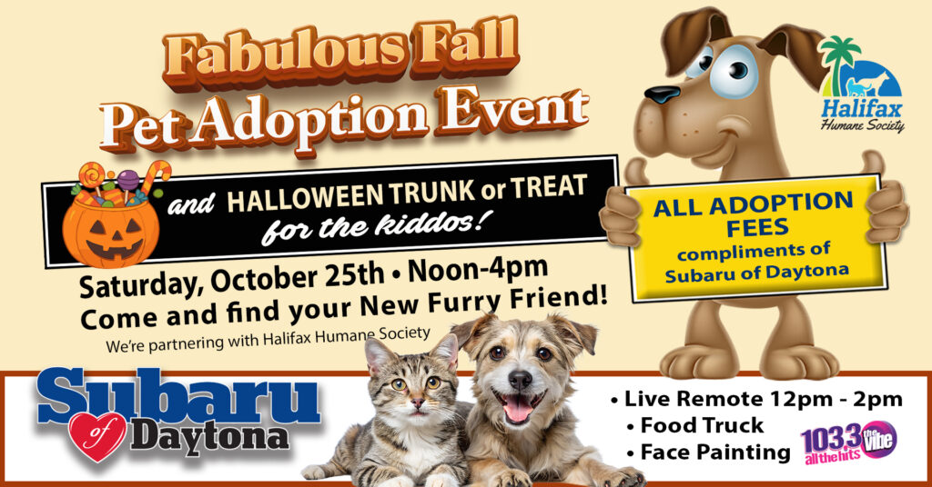 Fabulous Fall - Pet Adoption Event - Subaru of Daytona Come find your new furry friend! Subaru of Daytona Pet Adoption Event All adoption fees compliments of Subaru of Daytona Halloween Trunk or Treat for the kiddos! The Vibe 12pm - 2pm Face Painting - Food Truck