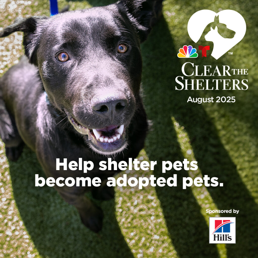 clear the shelters 2025