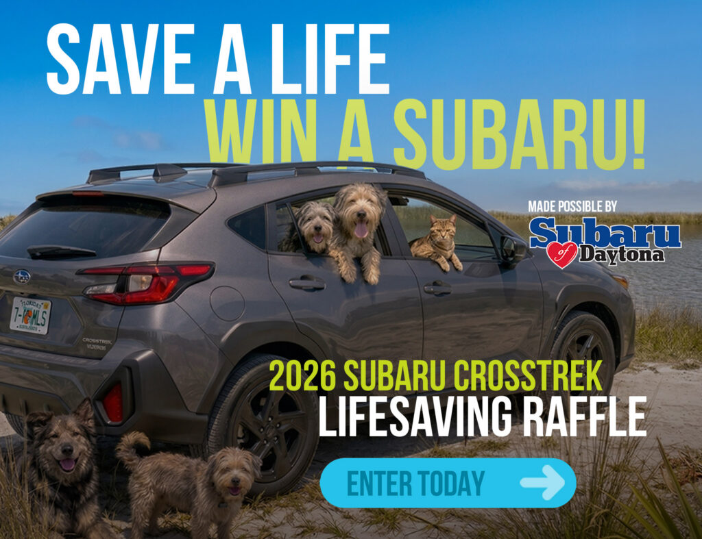 Save a Life Win a Subaru - 2026 Subara Crosstrek Lifesaving Raffle - Enter Today - Links to external raffle landing page