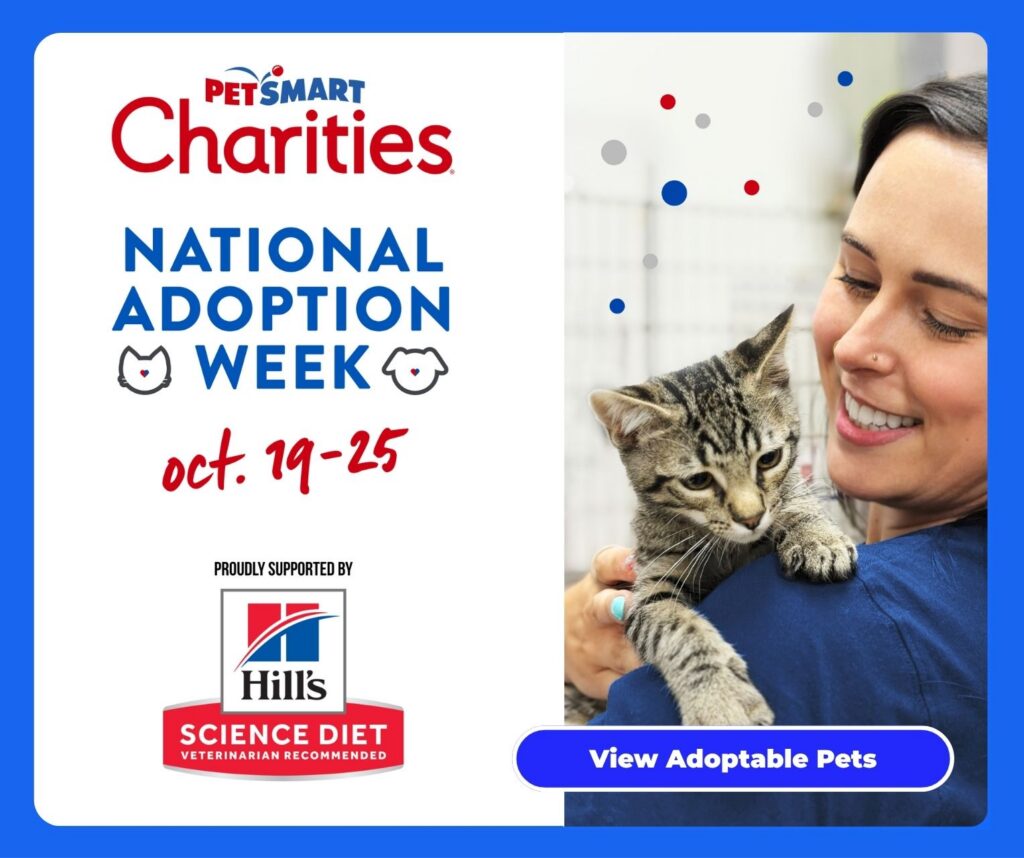 PetSmart Charities National Adoption Week, October 19 to 25, supported by Hill's Science Diet. A smiling shelter worker holds a tabby kitten on her shoulder. Button: View Adoptable Pets.