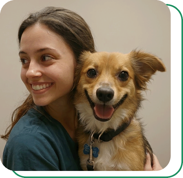 Girl holding up brown dog with a collar