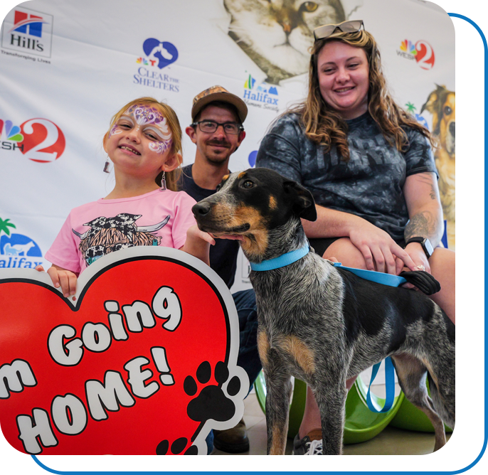 A family happily adopting a dog