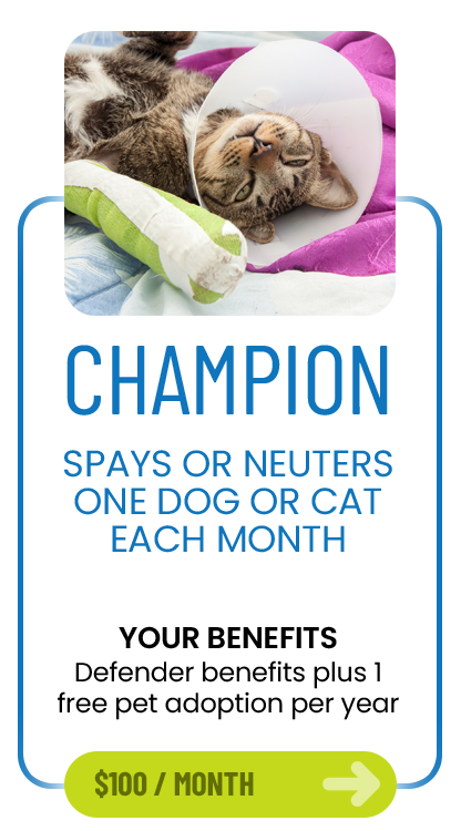 Champion membership, $100 per month. Spays or neuters one dog or cat each month. Benefits: Defender benefits plus one free pet adoption per year.