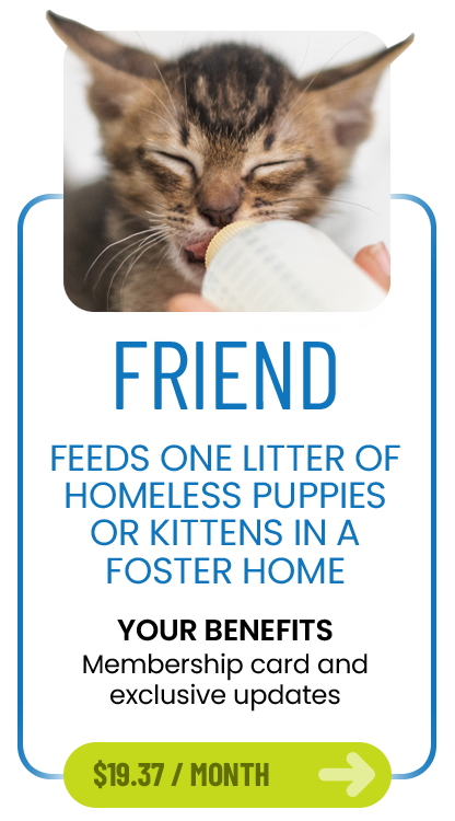 Friend membership, $19.37 per month. Feeds one litter of homeless puppies or kittens in a foster home. Benefits: membership card and exclusive updates.