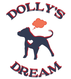 DDD Logo - Transparent