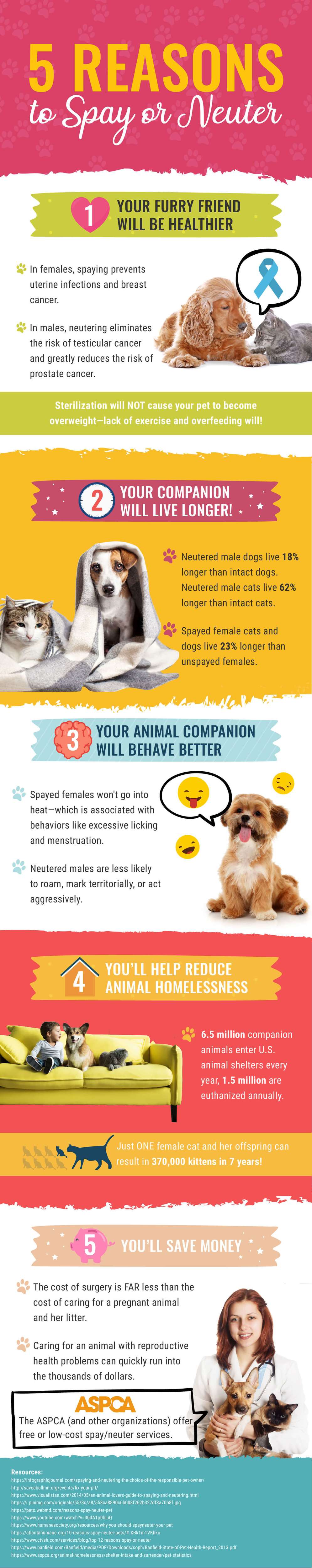 is it good to neuter your dog