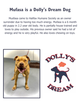 Dolly's Dream Dogs Adopted