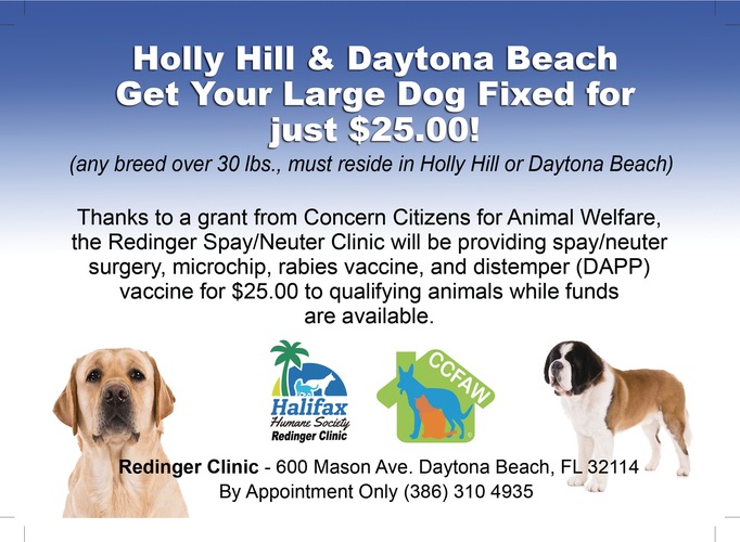 Large Dog Spay/Neuter Special $25