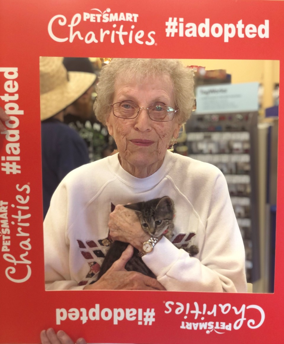 Find A Furry Companion During PetSmart Charities® National Adoption Weekend at PetSmart ISB Store with Animals from Halifax Humane Society