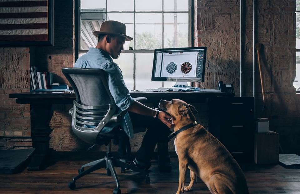 Here's How Dog Owners Can Stay Productive While Working From Home