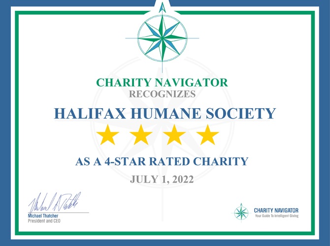 HALIFAX HUMANE SOCIETY EARNS COVETED 4-STAR RATING FROM CHARITY NAVIGATOR