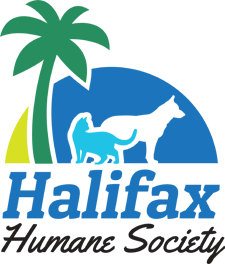 Operational Shift at the Halifax Humane Society